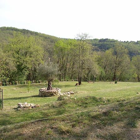 Studio aux Eyzies au coeur de la vallée de l'homme Les Eyzies Esterno foto